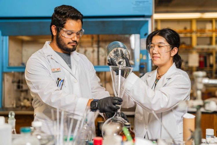 students work together in a lab